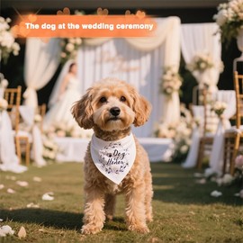 Dog Apparel Accessories Engagement Wedding Gifts for Dogs Lover Owner Dog Marriage Proposal Decorations Engagement Bridal Shower Gifts with Dogs Engaged Married Bandana Scraf Outfit Costume Clothes