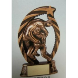 Unbranded male wrestling trophy, award, brushed gold, with your engraving, 6" High
