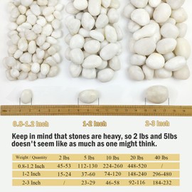 FANTIAN 20 lbs White River Rocks for Landscaping, 2-3 inch Large Pebbles for Plants, Decorative Stones for Planters Vase Aquarium and Outdoor Garden Rocks