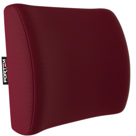 FORTEM Back Cushion Office Chair, Lumbar Support Back Cushion for Car, Lumbar Cushion Desk Chair, Memory Foam Back Cushion Chair, Washable Cover (Red)