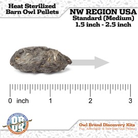 1 - Pack Sherlock Bones Owl Pellet Kit + Tools + Guide
