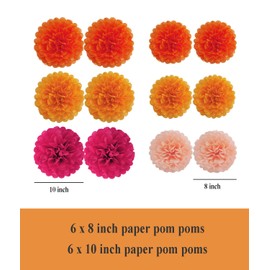 Keihok Fall Orange Party Decorations, Tissue Paper Pom Poms Paper Lanterns Paper Fans for Orange Birthday Wedding Baby Shower Decor, 18 Pcs Thanksgiving Decorations.