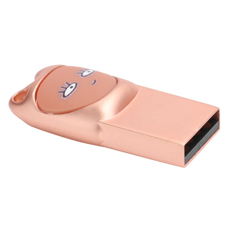 Flash Disk USB2.0 Interface Plugin Free Drive Cartoon U Disk