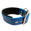 BioThane Padded Dog Collar - Large Width - Choice of