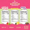 Wiley Wallaby Licorice Variety Pack - Lemonade, Original Fruits, &