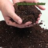 Doter Potting Soil Mix for Fern 2qt, Custom Hand Blended