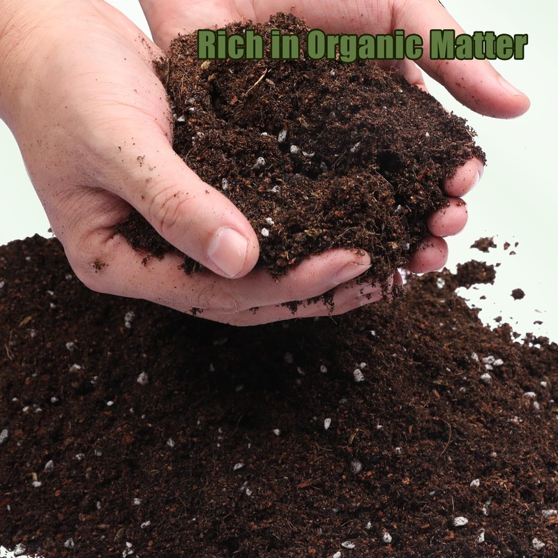 Doter Potting Soil Mix for Fern 2qt, Custom Hand Blended
