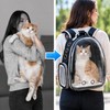 Transparent Pet Backpack Carrier for Cats & Small Dogs, Ventilated