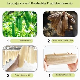 Esponja de lufa natural para la espalda, exfoliante corporal, exfoliante corporal para ducha, esponja de lufa para hombres y mujeres, esponja de baño,