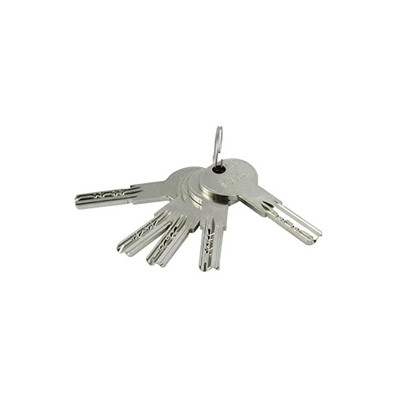 Cylinder ISR6 30x80 5 Keys 6 Pins Nickel-Plated Brass Iséo