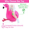 iPlay, iLearn Bouncy Pals Kids Flamingo Hopper Ball, Inflatable Bouncing