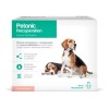 Petmedica Petonic Perro Md 110ml Suplemento Estimula Apetito