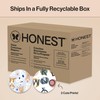 The Honest Company Clean Conscious Diapers for Sensitive Skin, Up