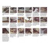 Instabind Carpet Binding - Carpet Edge Binding for Area Rugs,