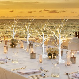 Set of 4 Lighted Birch Tree Warm White 24 LED Artificial Branch Tree 23.6 Inch Tabletop Christmas Tree Centerpiece Table Decorations Battery Powered Jewelry Holder with Timer for Home Wedding Party