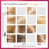 L'Oréal Paris L'Oreal excellence permanent hair dye