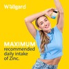 Wellgard Vegan Vitamin C and Zinc - Maximum Recommended Daily