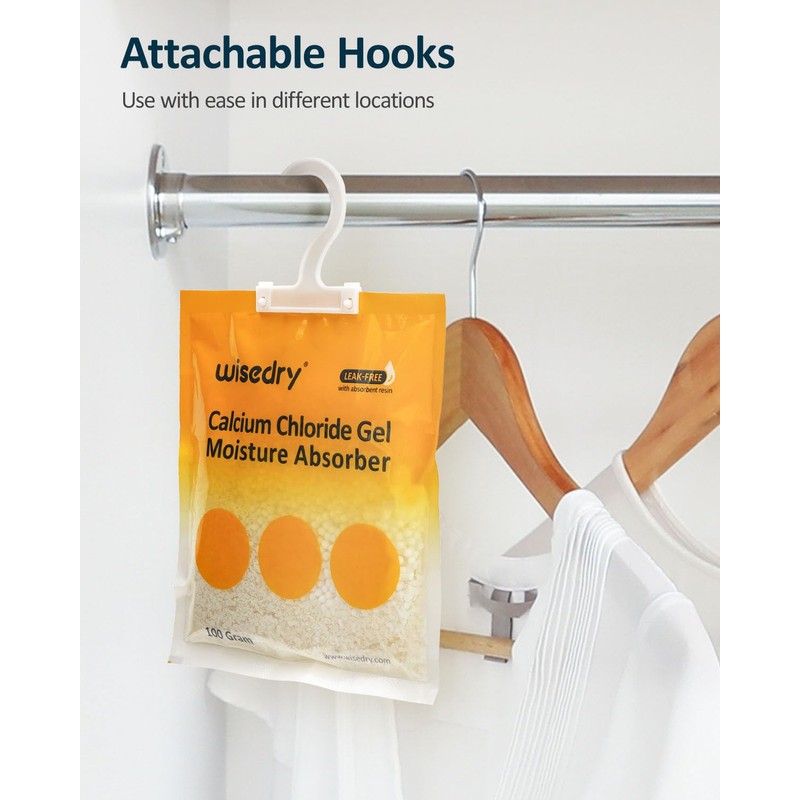 wisedry 100 Gram Moisture Absorber Packets of 10