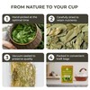Bay Leaves Tea - 150 Dried Whole Leaves, 1.06 oz,