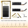 QUEWEL QUEWEL Easy Fan Lashes 0.07D Curl Mix 9-16mm Easy