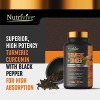 Nutrivive Turmeric Curcumin w/Ginger BioPerine 1500mg Blk Pepper 120 Caps-X-9/26