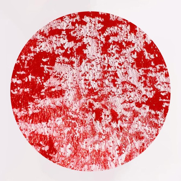 YLUSUJAKX Red Disposable Placemats Set of 100 Red Charger Plates