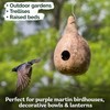 KVITER 10 Purple Martin Bird House Gourd Seeds for Planting