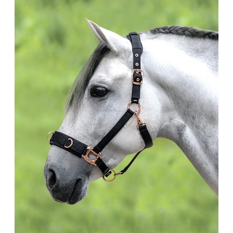 WALDHAUSEN Lunging Halter Rosé, VB, Black
