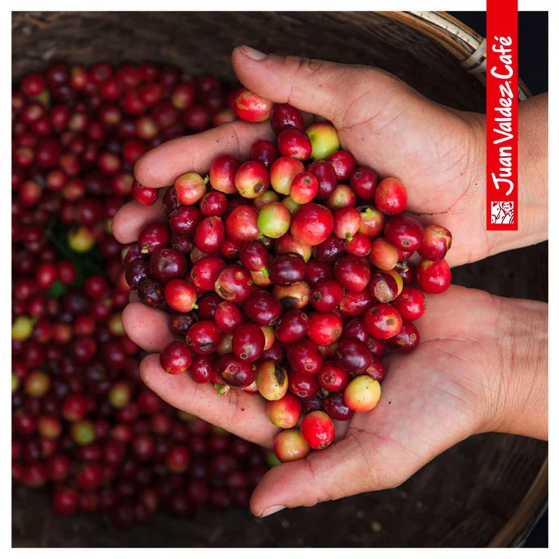 Juan Valdez Coffee Espresso Volcan Bean Colombian Coffee 16 oz