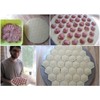 RAVIOLI MAKER ПЕЛЬМЕННИЦА MEAT DUMPLINGS PELMENI KREPLACH PASTA FORM MOULD