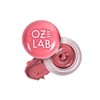 OZ LAB BonBon Cloud Lip and Cheek Mousse – Guava