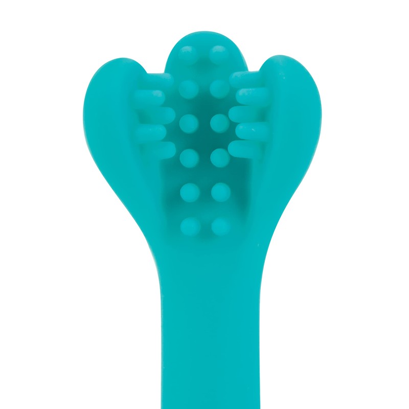 Dr. Talbot's 2-Piece Infant Toothbrush Training Set with Easy Grip