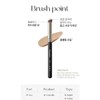 PICCASSO 2 types of Picasso base brushes + mesh standing