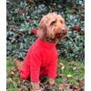 Warm Dog Fleece – Available in Five Sizes & Five