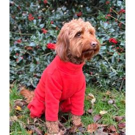 Warm Dog Fleece – Available in Five Sizes & Five Colours (Coral, X-Small (Four Legged))