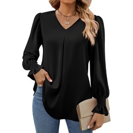 Funlingo 2025 Long Sleeve Shirts for Women Dressy Causal Clothes Business V-Neck Chiffon Tops Loose Trendy Work Tunic Blouse Black 2XL