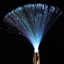 Housoutil Fibreglass Lamp, Fibre Optic Lamp with Colour Changing, Colourful Fibre Lamp, LED Fibre Lamp for Wedding, Christmas, Party, Holiday