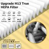 Improvedhand Vital 100S HEPA Replacement Filter Pet Care Compatible With