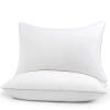 HIMOON Bed Pillows for Sleeping 2 Pack,Standard Size Cooling Pillows
