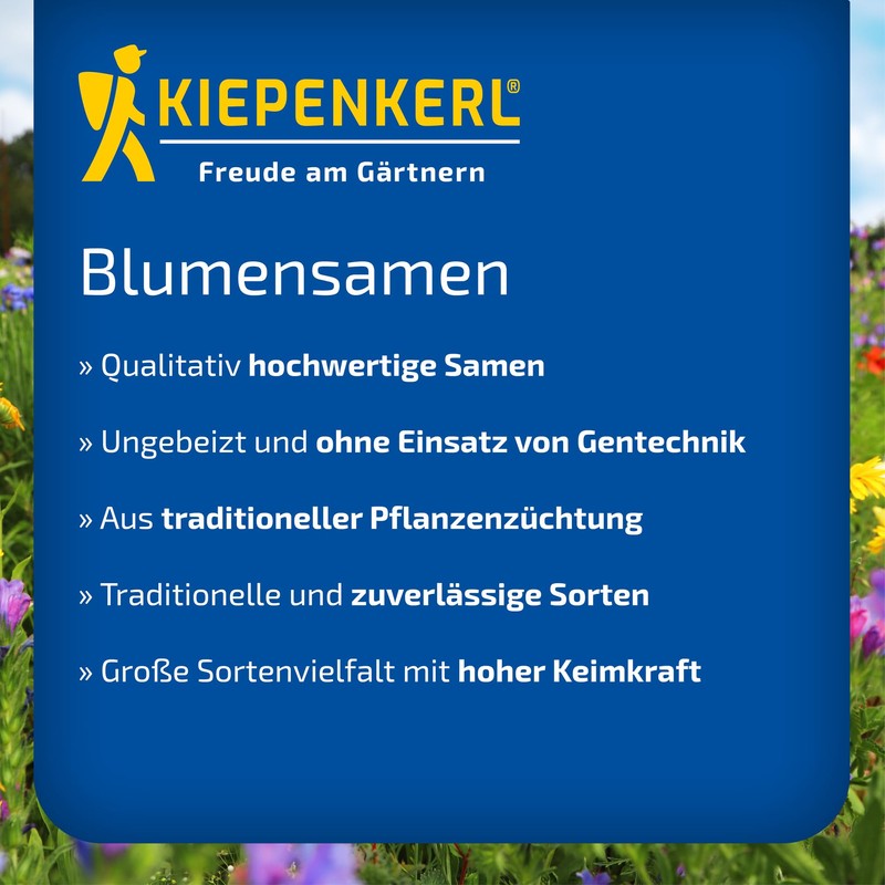 Kiepenkerl Blue Cushion Superbissima Mix 106063