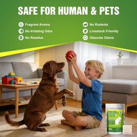 10 Packs Mice Repellent Pouches, Peppermint Oil Rodent Repeller, Natural Pest Control for Rats Squirrels Insects, Indoor Outdoor Mouse Deterrent, Pet & Family Safe Alternative to Traps & Poison