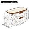 Automatic Rolling Egg Storage Box – Refrigerator Egg Organizer Rack