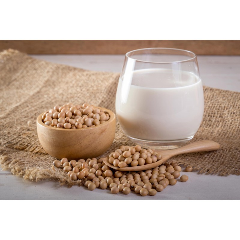 JAY&CO. Whole SOY Protein, Reduces Blue Odor, Completely Additive-Free (17.6