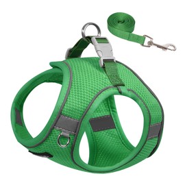 AIITLE Small Dog Harness, No-Pull Cat Harness with a Leash, Step in Adjustable Puppy Harness with Quick-Release Buckle, Reflective Outdoor Pet Vest for Extra Small Dogs and House Cats Green XXS