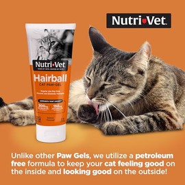 Nutri-Vet Hairball Paw-Gel for Cats, Salmon Flavor, 3-Ounce