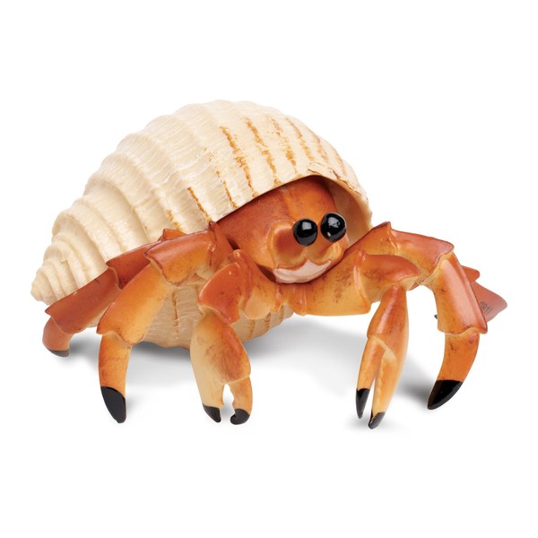 Safari Ltd. | Hermit Crab | Incredible Creatures | Toy Figurines for Boys & Girls