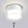 LED Surface-Mounted Ceiling Light with Radar Motion Sensor, 12 W