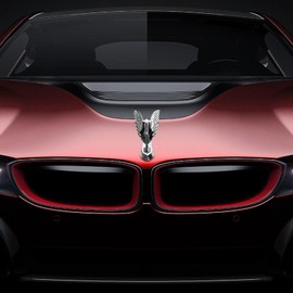 Hood Decoration for Trucks | Angel Wings Emblem Badge Auto Sticker | Front Vehicle Hood Ornament for SUVs, Sports