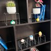 Worldity 6 Pcs Acrylic Risers for Display, 3" 4" 5"