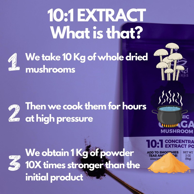 HYBRID HERBS – Organic Wild Chaga Mushroom Powder 10X Strength